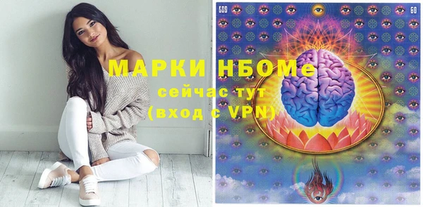 индика Кукмор
