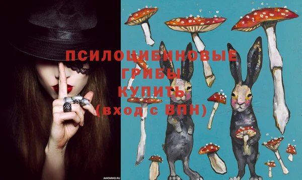 mdpv Краснотурьинск