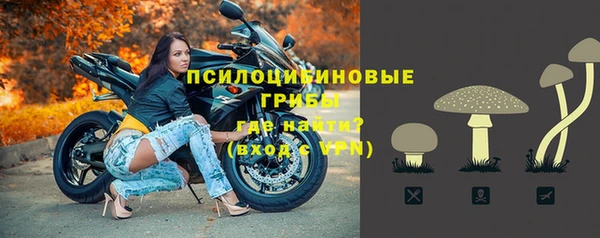 a pvp Краснослободск