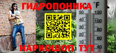 а пвп мука Кингисепп