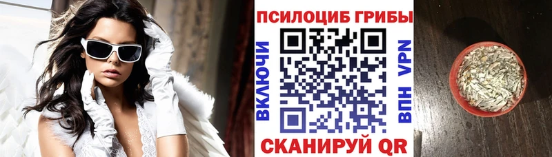 Галлюциногенные грибы мухоморы  магазин продажи наркотиков  Новотроицк 