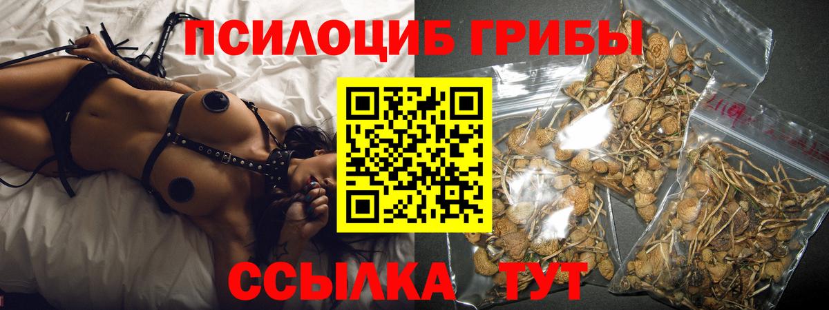 Новотроицк  Псилоцибиновые грибы MAGIC MUSHROOMS  наркота  Вход с VPN 