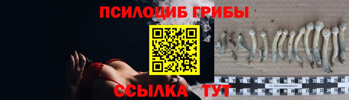 Галлюциногенные грибы мухоморы Новотроицк
